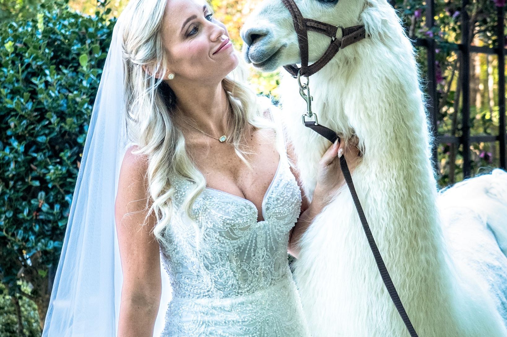 _DSC9594-Edit_horizontal_opt