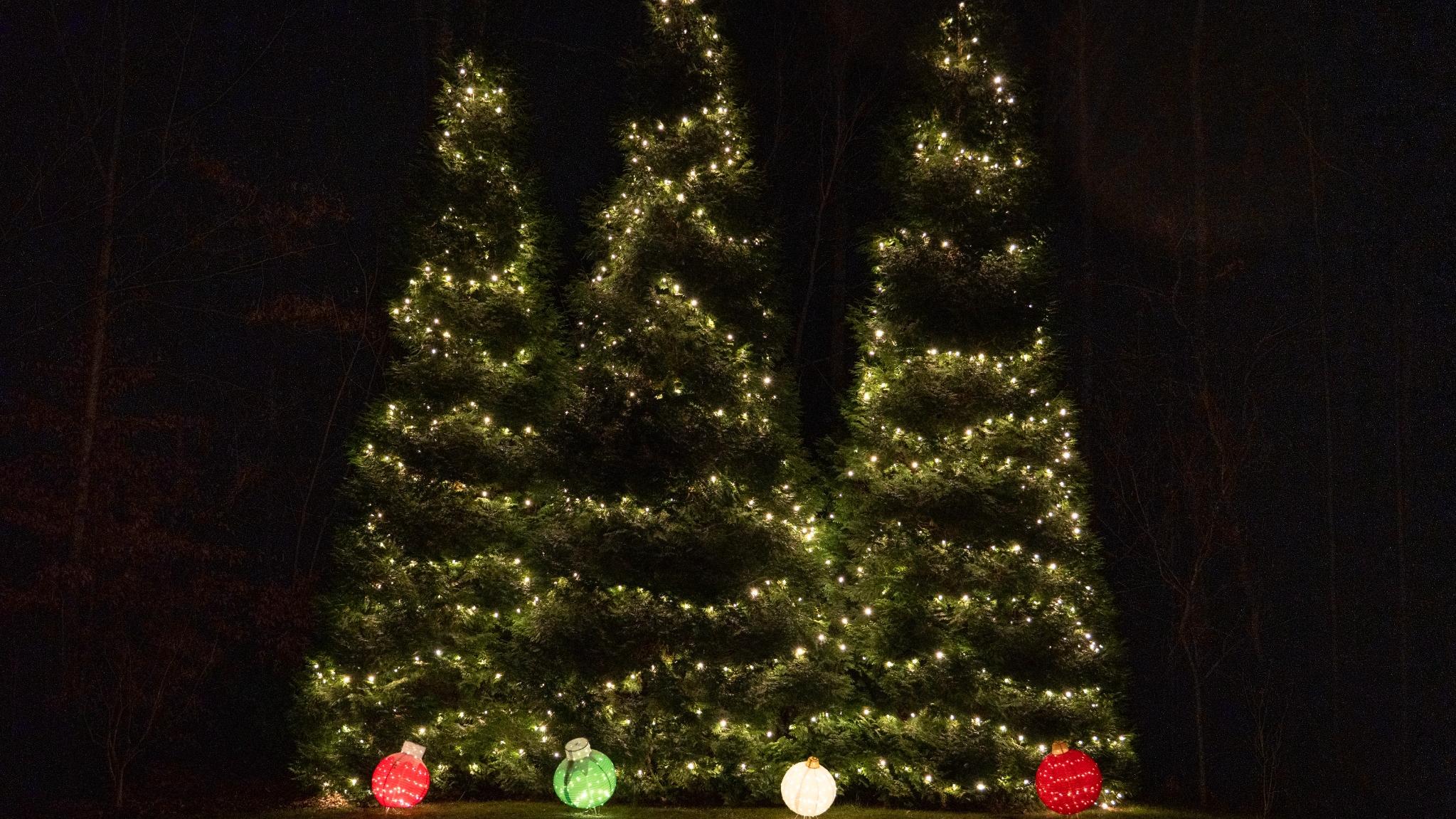 horizontal_223_DSC0824